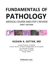 book Fundamentals of Pathology: Medical Course and Step 1 Review (Pathoma)  