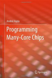 book Programming Many-Core Chips    