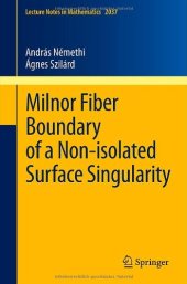 book Milnor fiber boundary of a non-isolated surface singularity