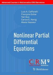 book Nonlinear Partial Differential Equations 