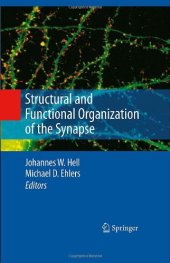 book Structural And Functional Organization Of The Synapse