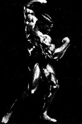 book Arnold: The Education of a Bodybuilder