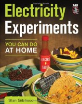 book Electricity Experiments You Can Do At Home