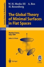 book The Global Theory of Minimal Surfaces in Flat Spaces