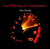 book Fuel Efficiency in Transportation