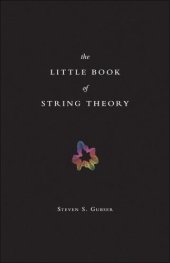 book The Little Book of String Theory (Science Essentials)