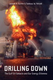 book Drilling Down: The Gulf Oil Debacle and Our Energy Dilemma