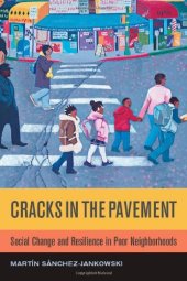 book Cracks in the pavement