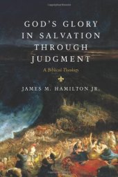 book God's Glory in Salvation through Judgment: A Biblical Theology