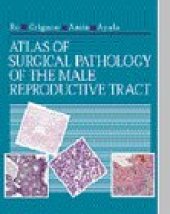 book Atlas of surgical pathology of the male reproductive tract