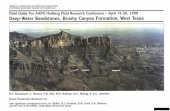 book Deep-water sandstones, Brushy Canyon Formation, West Texas (AAPG Course Notes 40)