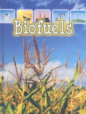 book Biofuels