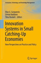 book Innovation Systems in Small Catching-Up Economies: New Perspectives on Practice and Policy