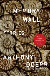 book Memory Wall: Stories