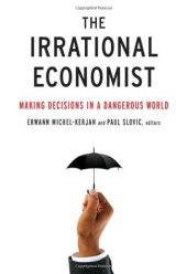 book The irrational economist: making decisions in a dangerous world