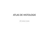 book Atlas Color de Histologie