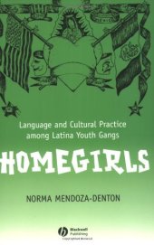 book Homegirls: Language and Cultural Practice Among Latina Youth Gangs