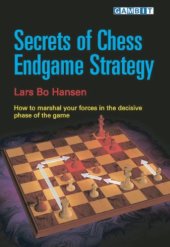 book Secrets of Chess Endgame Strategy