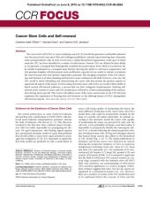 book Cancer Stem Cells and Self-renewal (Article)