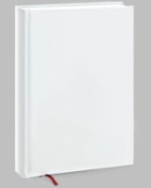 book Экология медоносной пчелы.