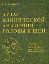 book Атлас клинической анатомии головы и шеи 