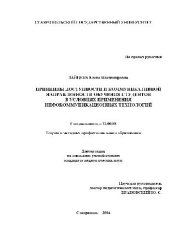 book Принципы коммуникативной направленности обучения студ. в услов. инфокоммуникационных технологий(Диссертация)