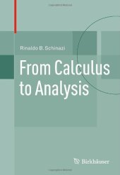 book From Calculus to Analysis