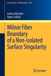 book Milnor Fiber Boundary of a Non-isolated Surface Singularity 