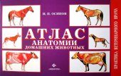 book Атлас анатомии домашних животных. (скота