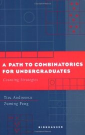 book A Path to Combinatorics for Undergraduates: Counting Strategies