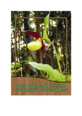 book Флора сосудистых растений заповедника "Брянский лес".