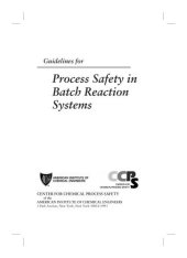 book Guidelines for Process Safety in Batch Reaction Systems