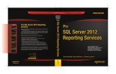 book Pro SQL Server 2012 Reporting Services