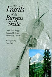 book The Fossils of the Burgess Shale