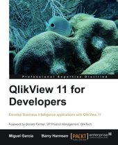 book QlikView 11 for Developers