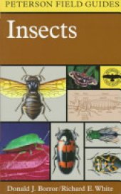 book A Field Guide to Insects: America North of Mexico