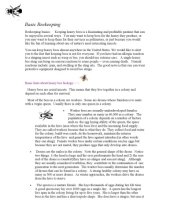 book Beekeeping basics