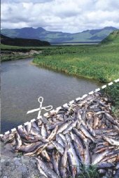 book Государственные природные заповедники и национальные парки России. Угрозы, неудачи, упущенные возможности