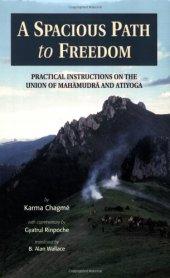 book A Spacious Path to Freedom: Practical Instructions on the Union of Mahamudra and Atiyoga