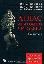 book Атлас анатомии человека. В 4 томах. Том 1. Учение о костях, соединении костей и мышцах