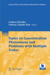 book Topics on Concentration Phenomena and Problems with Multiple Scales