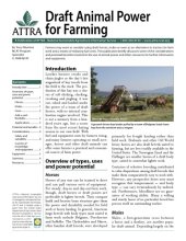 book The Draft horse primer : a guide to the care and use of work horses and mules