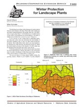 book Winter injury of landscape plants in the Pacific Northwest