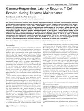 book Gamma-Herpesvirus Latency Requires T Cell Evasion during Episome Maintenance