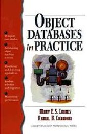 book Object databases in practice