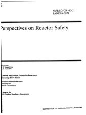 book Perspectives on reactor safety