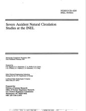 book Severe accident natural circulation studies at the INEL