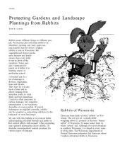 book Protecting gardens and landscape plantings from rabbits