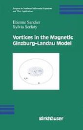 book Vortices in the magnetic Ginzburg-Landau model