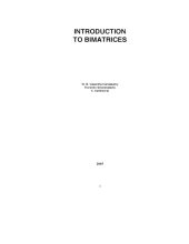 book Introduction to bimatrices